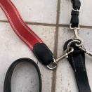 collier de chasse et  martingale occasion