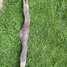 Sangle CWD jumping 120 cm occasion