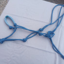 Licol Éthologique bleu occasion