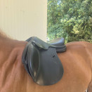 Selle mixte Jump’in one classique 17 pouces (2023) occasion