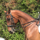Bride Pagony en cuir doublé (cheval) occasion