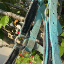 Licol Fouganza turquoise (cheval) occasion