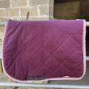 Tapis de selle Marta Morgan prune (cheval) occasion
