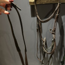 Filet Fouganza (cheval) occasion