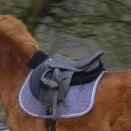 Tapis de selle Kentucky violet (cheval) occasion