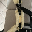 Licol Kentuky (cheval) occasion