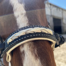 Filet special hackamore occasion