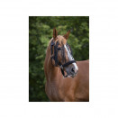 Frontal chasse-mouches Norton noir (cheval) neuf occasion