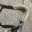Licol Norton (cheval) occasion