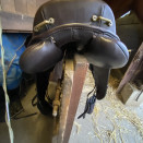 Selle randonnée sellerie Baude 17,5 pouces (2018) occasion