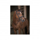 Rênes sangle Norton pro noir (cheval) neuf occasion