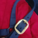 Licol équipehorse bleu marine (cob) neuf occasion