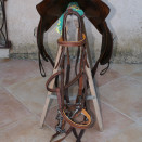 Selle Forestier Trec occasion