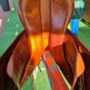 Selle loisir Devoucoux Biarritz 17,5 pouces occasion