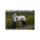 Bonnet Equithème anti-eczéma gris (cheval) neuf occasion