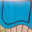 Tapis bleu occasion