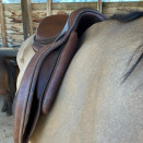 Selle Antares Signature édition limitée 17 occasion