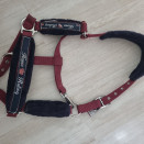 Licol Fouganza bordeaux (poney) occasion
