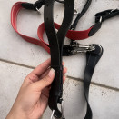 collier de chasse et  martingale occasion