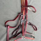 Filet / bride Norton synthétique rouge (cheval) occasion