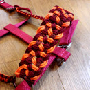 Licol bordeaux (COB) neuf occasion Licol bordeaux (COB) neuf occasion