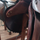 Selle Forestier Segonzac (2001) occasion