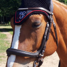 Filet anatomique Felix Bühler cuir (cheval) occasion