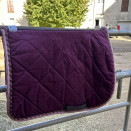Tapis de selle Marta Morgan prune (cheval) occasion