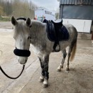 Tapis de selle Equestrian Stockolm bleu marine occasion