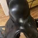 Selle Equiline (2008) occasion