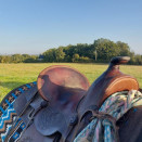 Selle western type ranch 15,5 pouces occasion