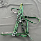 Filet / bride Norton synthétique vert (cheval) occasion