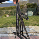 Filet cuir noir + rênes (cheval) occasion