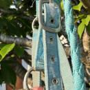 Licol turquoise (double poney) occasion