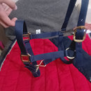 Licol équipehorse bleu marine (cob) neuf occasion