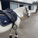 Tapis de selle Equestrian Stockolm bleu marine occasion