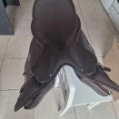Selle mixte Wintec 500 17 pouces occasion