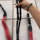 collier de chasse et  martingale occasion