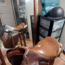 Selle Forestier Segonzac (2001) occasion