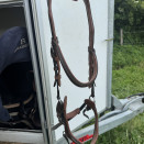 Filet Jump’in occasion