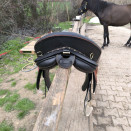 Selle portugaise Zaldi 17 pouces (2023) occasion
