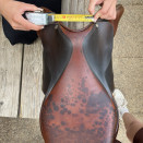 Selle obstacle Butet Saumur 16 pouces (2014) occasion