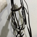 Filet / bridon cuir muserolle croisée (cheval) occasion