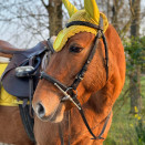 lot Lami- Cell tapis bonnet guêtres jaune (cheval) occasion