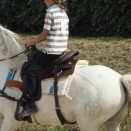 Selle Western 17 pouces (2008) occasion