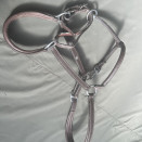 Licol Norton cuir marron (cheval) occasion