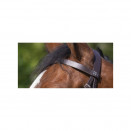 Bridon Riding world muserolle française marron (shetland) neuf occasion