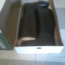 Bottes équitation Aigle noir (38) neuf occasion