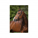 Bridon Riding world muserolle française marron (shetland) neuf occasion