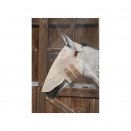 Masque anti-mouches Lami-Cell beige sans oreille (pur-sang) neuf occasion